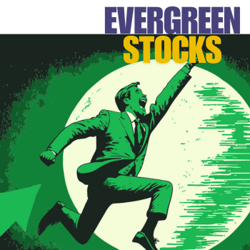 Evergreen Stocks in India