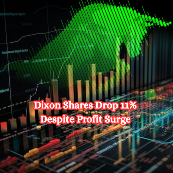 Dixon Shares Drop 11% Despite Profit Surge