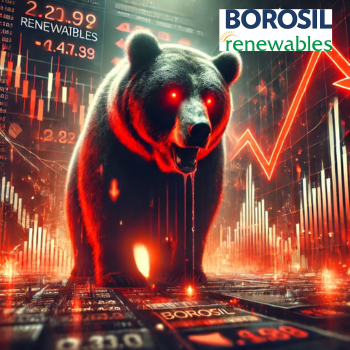 Borosil Renewables Shares Drop