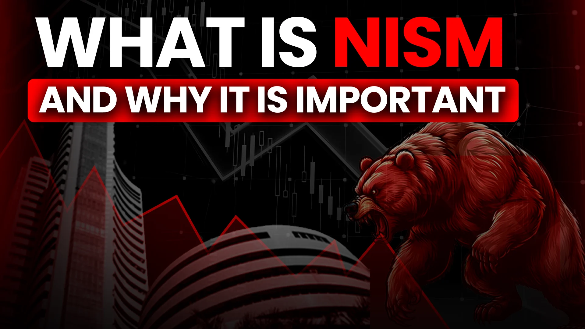 What is NISM and why it is important.